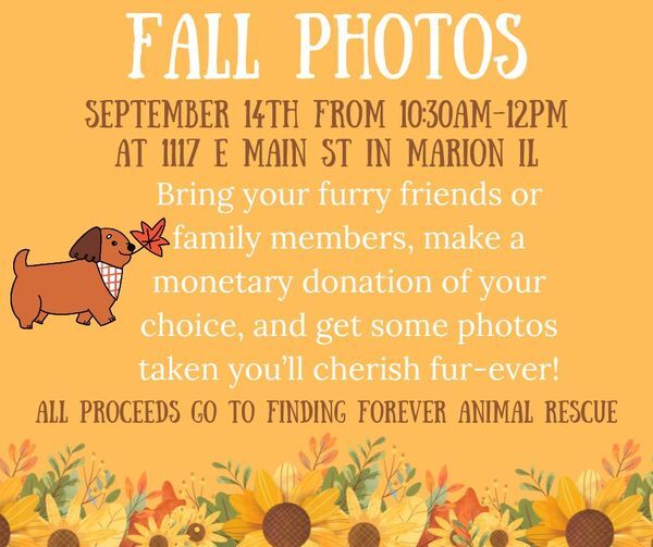 Finding Forever Pet Photos